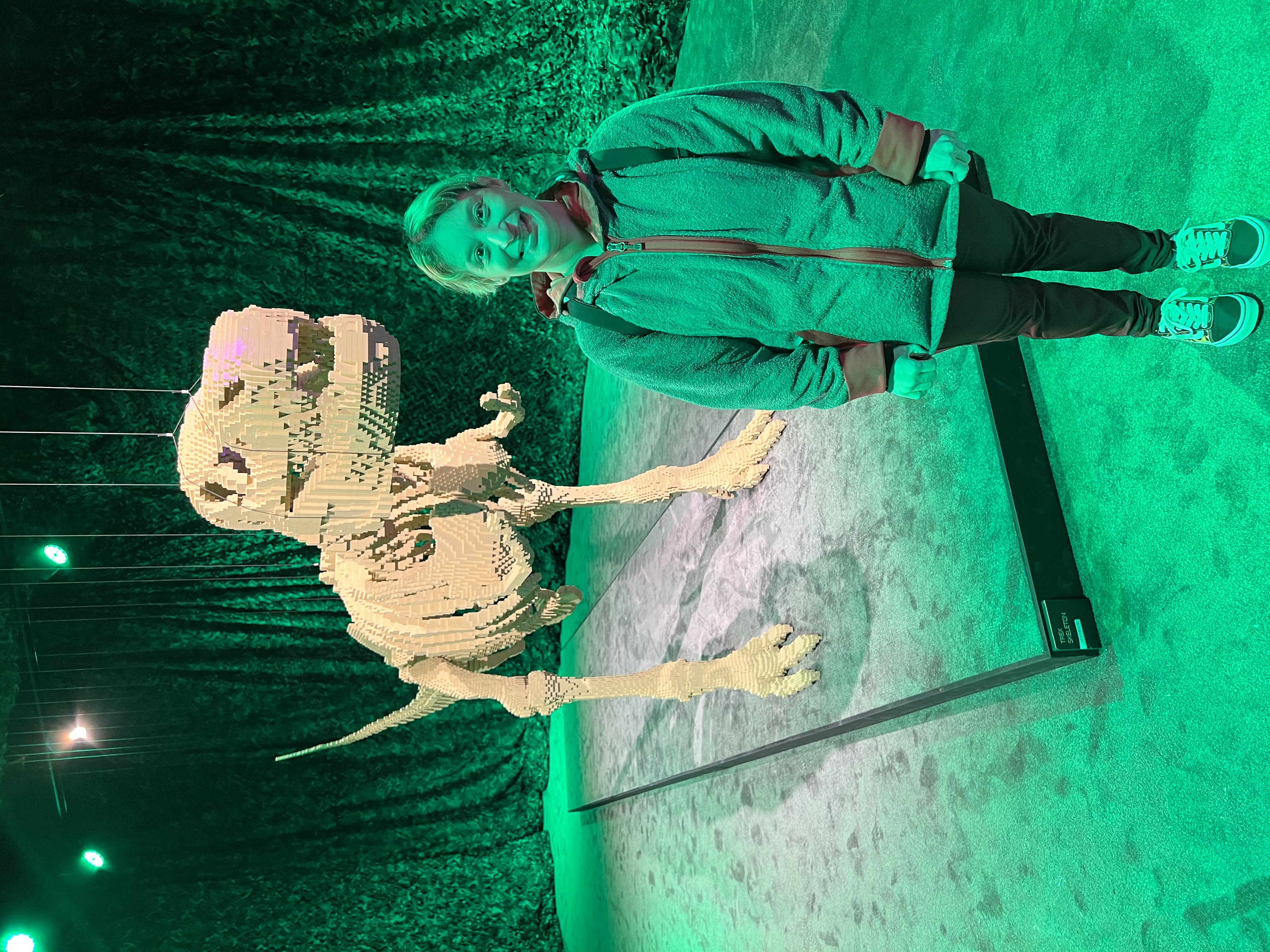 ./2023/07 - Art of the Brick/IMG_9578.JPG